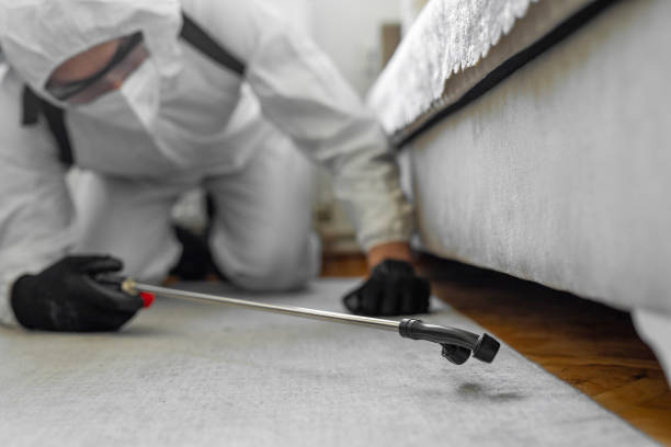 Professional Bed Bug Control technician working in Union City, TN